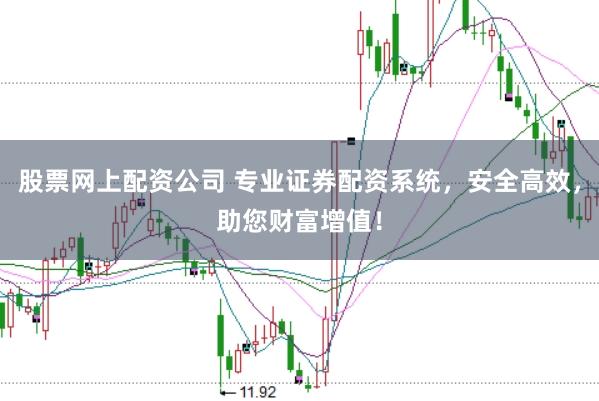 股票网上配资公司 专业证券配资系统，安全高效，助您财富增值！