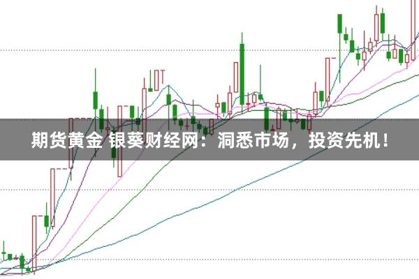 期货黄金 银葵财经网：洞悉市场，投资先机！