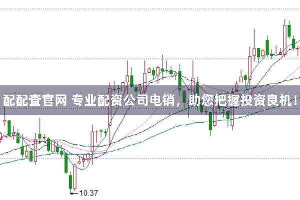 配配查官网 专业配资公司电销，助您把握投资良机！