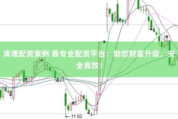 清理配资案例 最专业配资平台：助您财富升级，安全高效！