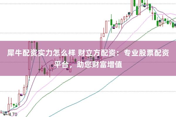 犀牛配资实力怎么样 财立方配资：专业股票配资平台，助您财富增值
