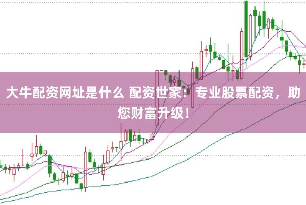大牛配资网址是什么 配资世家：专业股票配资，助您财富升级！