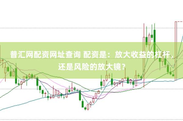 普汇网配资网址查询 配资是：放大收益的杠杆，还是风险的放大镜？