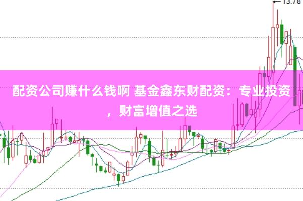 配资公司赚什么钱啊 基金鑫东财配资：专业投资，财富增值之选