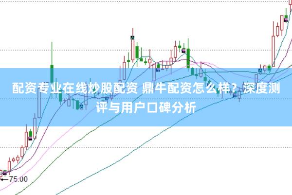 配资专业在线炒股配资 鼎牛配资怎么样？深度测评与用户口碑分析