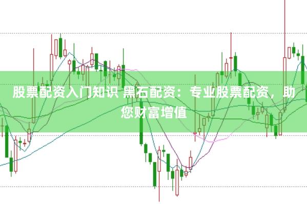 股票配资入门知识 黑石配资：专业股票配资，助您财富增值