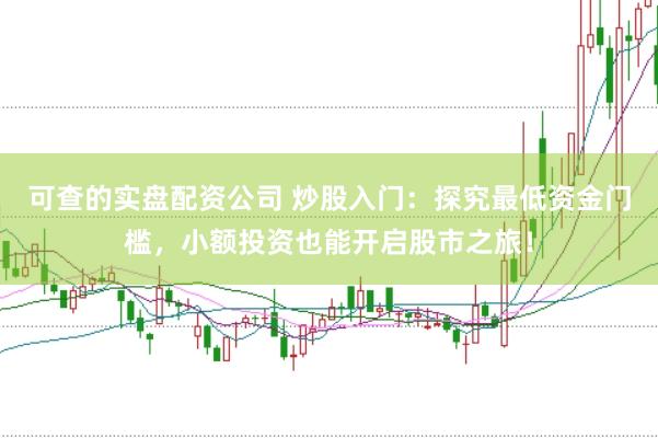 可查的实盘配资公司 炒股入门：探究最低资金门槛，小额投资也能开启股市之旅！
