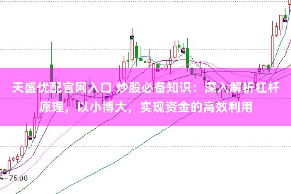 天盛优配官网入口 炒股必备知识：深入解析杠杆原理，以小博大，实现资金的高效利用