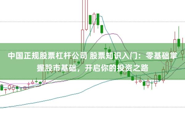 中国正规股票杠杆公司 股票知识入门：零基础掌握股市基础，开启你的投资之路