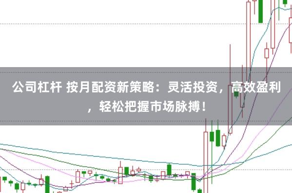 公司杠杆 按月配资新策略：灵活投资，高效盈利，轻松把握市场脉搏！