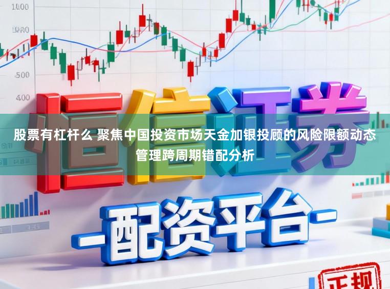 股票有杠杆么 聚焦中国投资市场天金加银投顾的风险限额动态管理跨周期错配分析