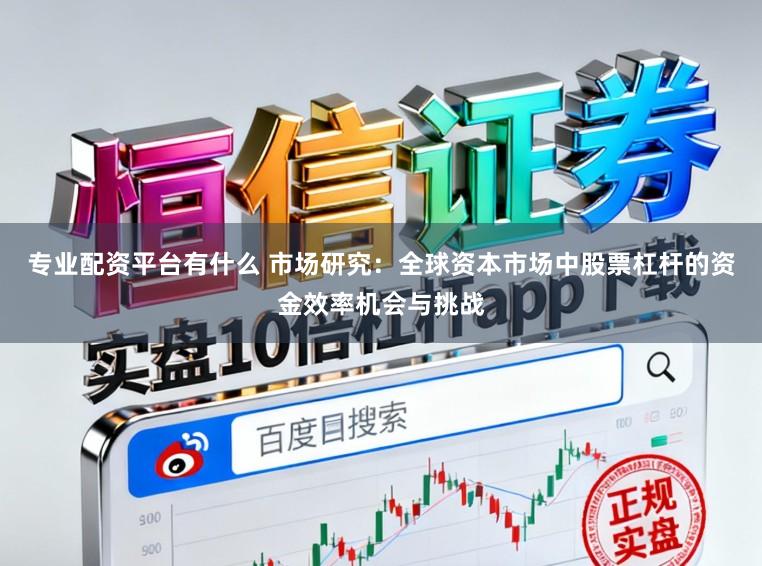专业配资平台有什么 市场研究：全球资本市场中股票杠杆的资金效率机会与挑战