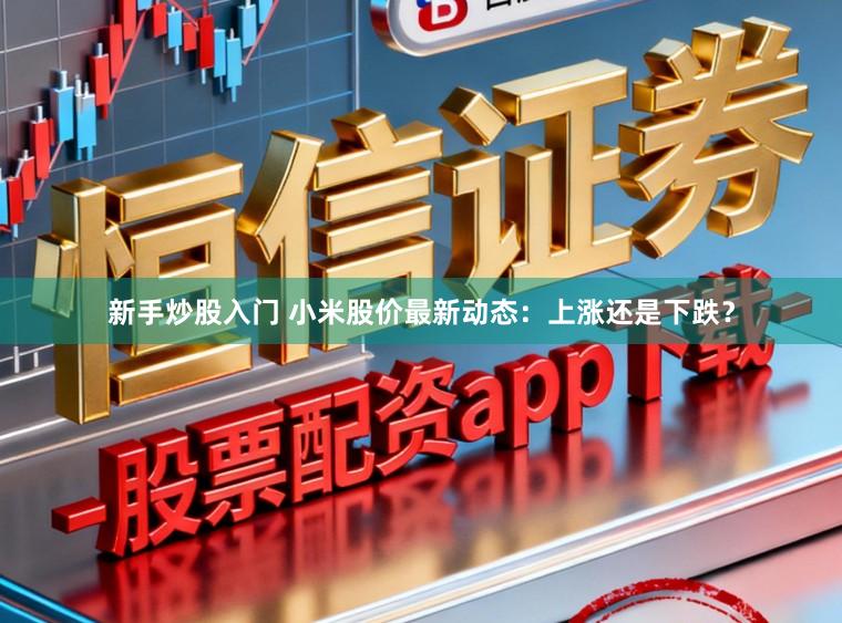 新手炒股入门 小米股价最新动态：上涨还是下跌？